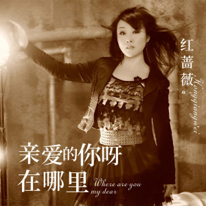 收聽紅薔薇的親愛的你呀在哪裏 (DJ何鵬版)歌詞歌曲