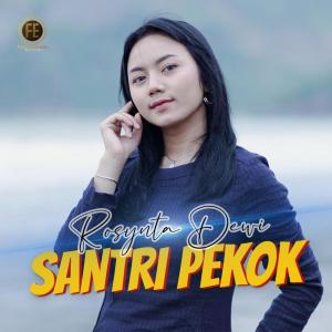 Dengarkan Santri Pekok lagu dari Rosynta Dewi dengan lirik