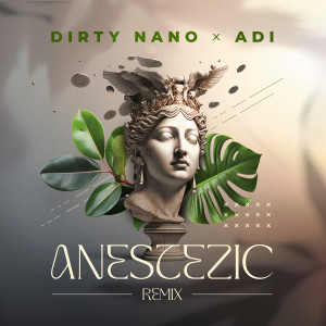 Album Anestezic (Remix) from Dirty Nano