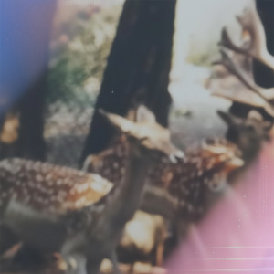 Arbee的專輯Une espèce nocturne (fnonose remix)
