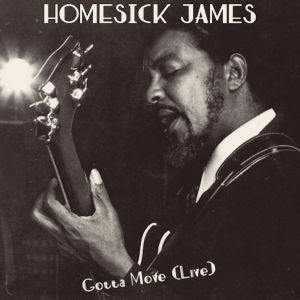 อัลบัม Gotta Move (Live) ศิลปิน Homesick James