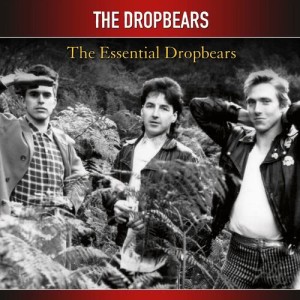 ดาวน์โหลดและฟังเพลง Shall We Go พร้อมเนื้อเพลงจาก Dropbears