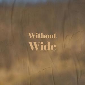 Album Without Wide from Various