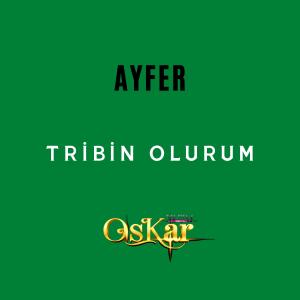 收听Ayfer的Tribin Olurum歌词歌曲