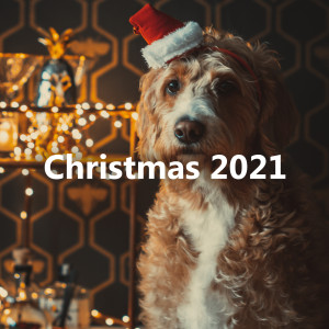 อัลบัม Christmas 2021 ศิลปิน Various Artists