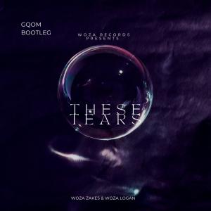 收聽Woza Logan的These Tears (Gqom Bootleg - Woza Records) (feat. Woza Zakes)歌詞歌曲
