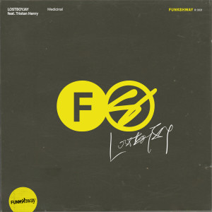 ดาวน์โหลดและฟังเพลง Medicinal พร้อมเนื้อเพลงจาก LOSTBOYJAY