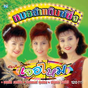 ดาวน์โหลดและฟังเพลง บุญบั้งไฟใจฝ่อ (feat. บานเย็น รากแก่น, อังคนางค์ คุณไชย & ปฤษณา วงศ์ศิริ) พร้อมเนื้อเพลงจาก หมอลำอินเตอร์