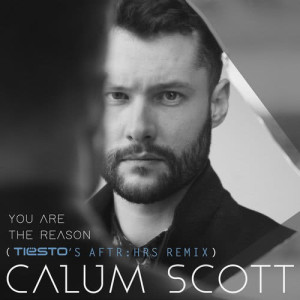 ดาวน์โหลดและฟังเพลง You Are The Reason (Tiësto's AFTR:HRS Remix) พร้อมเนื้อเพลงจาก Calum Scott