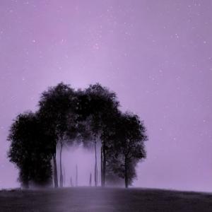 收聽Vilse的unreal (Explicit)歌詞歌曲