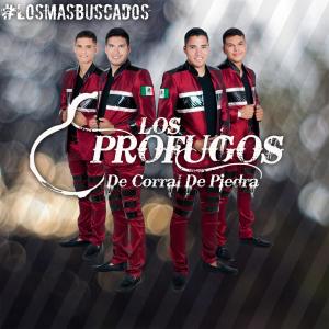 Listen to Que Quede Claro song with lyrics from Los Profugos De Corral De Piedra