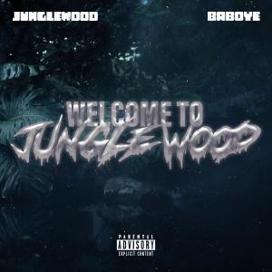 收聽Jungle Wood的Welcome To JungleWood (feat. Baboye vli) (Explicit)歌詞歌曲