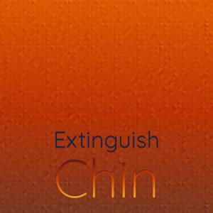 Various Artists的專輯Extinguish Chin