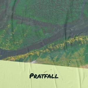 Listen to Pratfall song with lyrics from Aled Stena