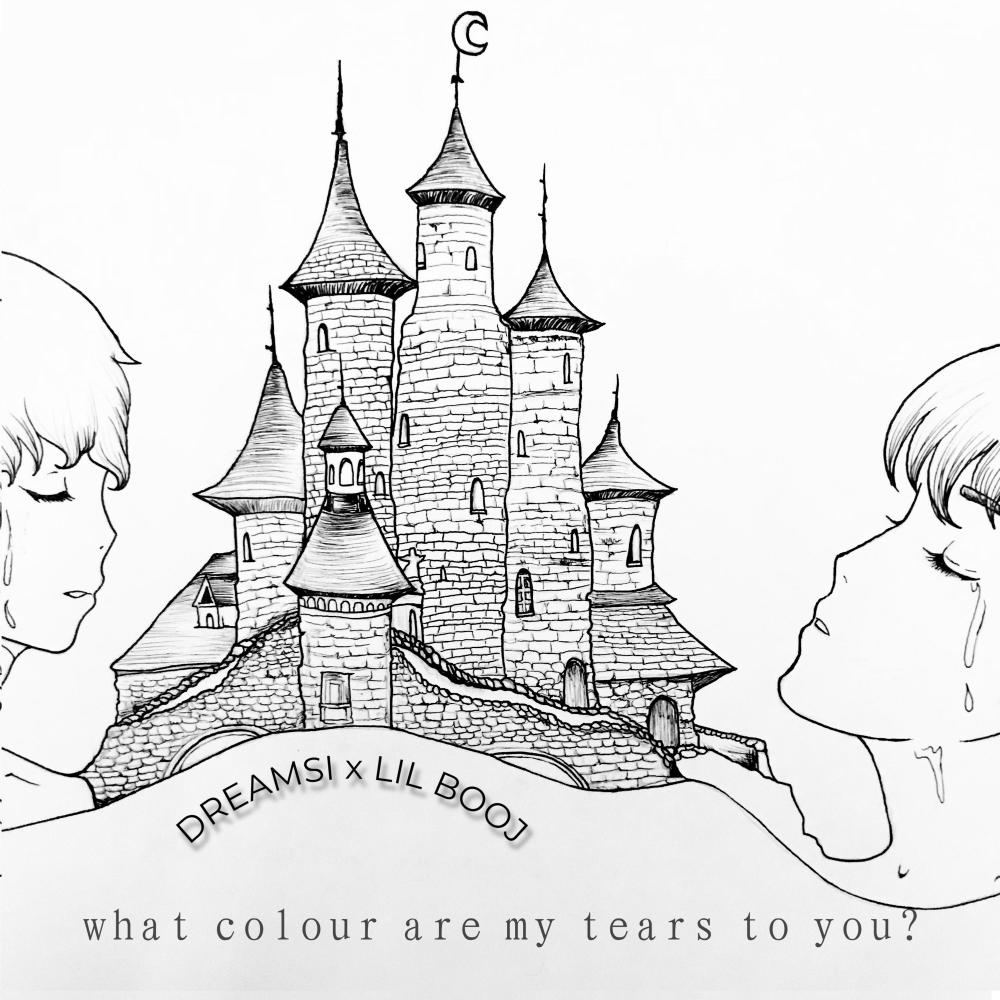 What Colour Are My Tears To You? (feat. lil booj)