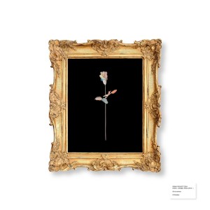 收聽DRAMA的Dollar $hort - Blank Sense Remix - Extended歌詞歌曲