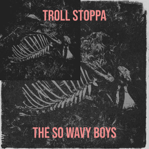 收听The So Wavy Boys的Troll Stoppa (Explicit)歌词歌曲