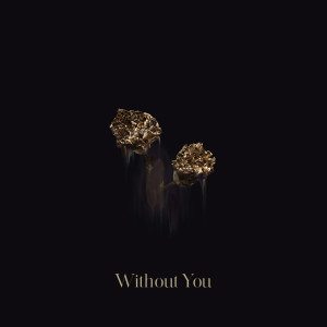 Album Without You (Explicit) from 