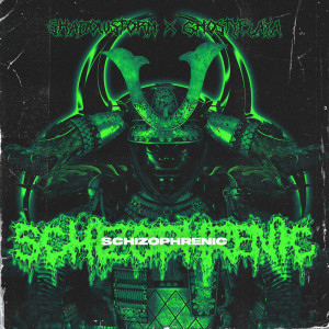 Dengarkan Schizophrenic (feat. GhostyPlaya) lagu dari ShadowStorm dengan lirik