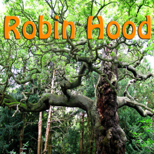 Dengarkan Crying In The Wind lagu dari Wildlife dengan lirik