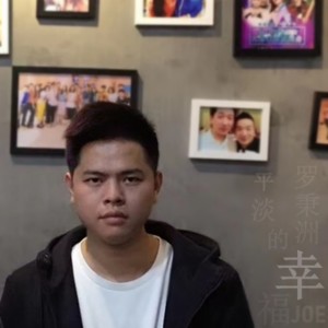 Listen to 平淡的幸福 (完整版) song with lyrics from 罗秉洲