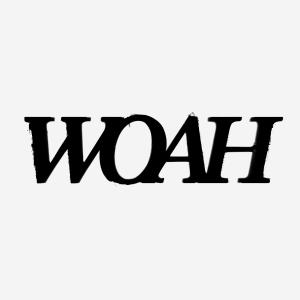 MAKE FAMILY NOT FRIENDS的專輯WOAH (feat. Checks, BRUHMANEGOD, Cxrpse & Fenrir) [Explicit]