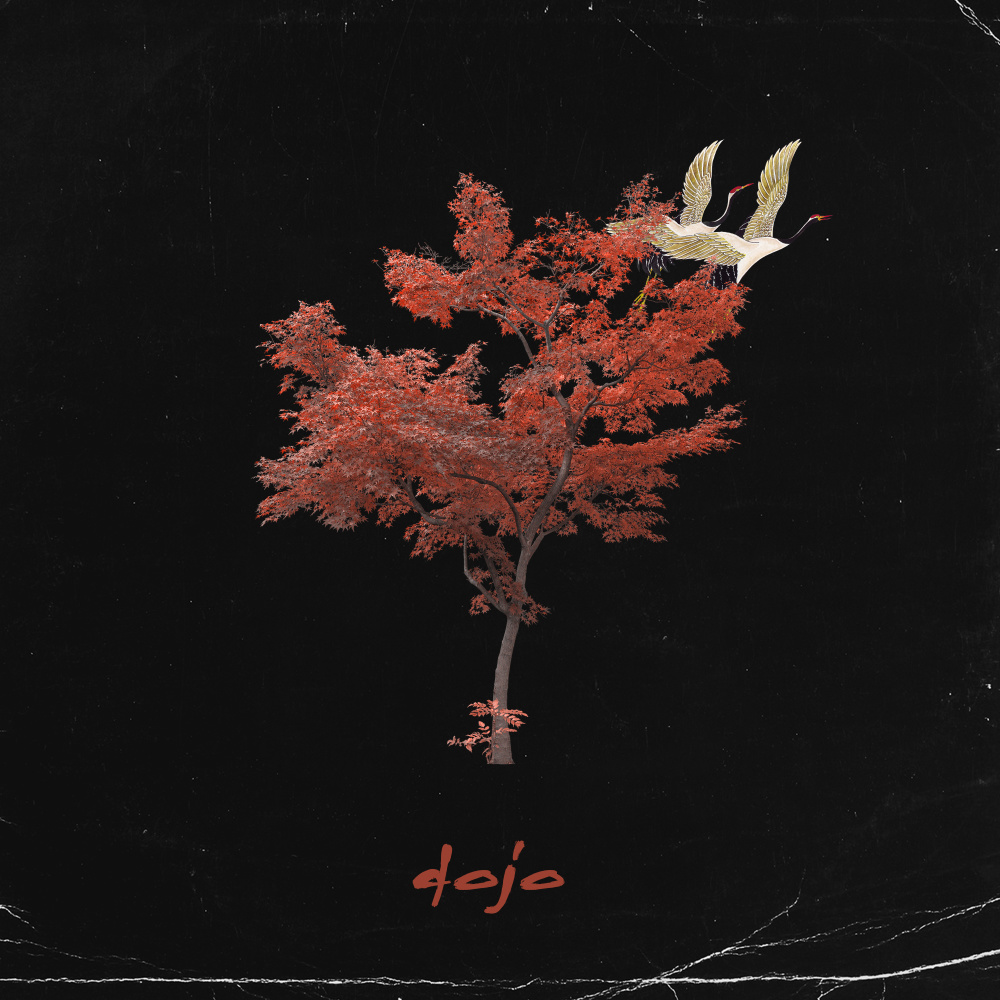 Dojo