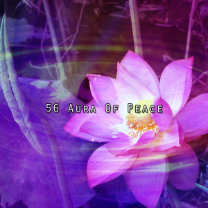 อัลบัม 56 Aura Of Peace ศิลปิน Outside Broadcast Recordings