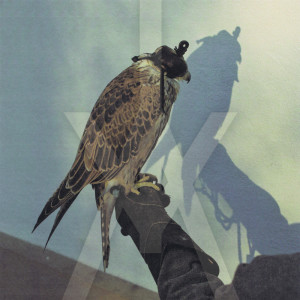 Listen to Coalition song with lyrics from Iceage