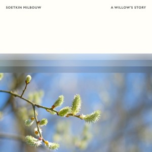 Listen to A Willow's Story song with lyrics from Soetkin Milbouw