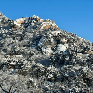 Listen to 千山 (伴奏) song with lyrics from 步欣浓