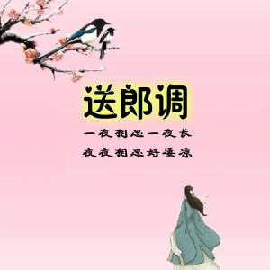 Listen to 一夜相思一夜长 (伴奏) song with lyrics from 徐晓云