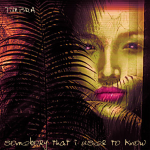 Kimbra的專輯Somebody That I Used to Know