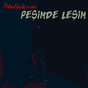 Ubalbakunin的专辑Peşimde Leşim (Explicit)