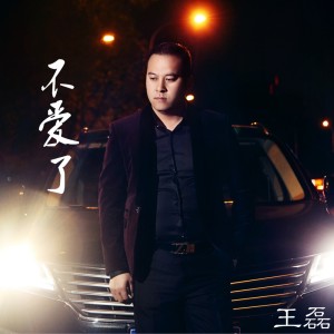 Album 不爱了 from 王大雷