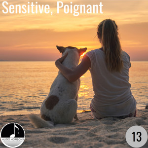 Album Sensitive, Poignant 13 from Various Artists