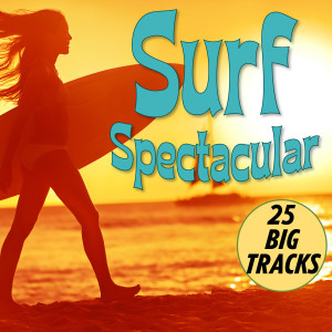 Various的專輯Surf Spectacular