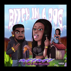 Listen to Bitch Im a Dog (Explicit) song with lyrics from NAELICIOUS