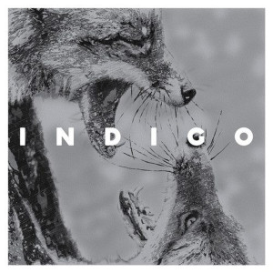 ดาวน์โหลดและฟังเพลง Queen of Hearts พร้อมเนื้อเพลงจาก Indigo