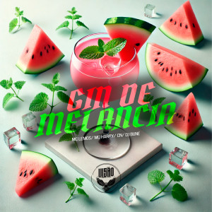 ดาวน์โหลดและฟังเพลง GIN DE MELANCIA พร้อมเนื้อเพลงจาก Mc Lemos