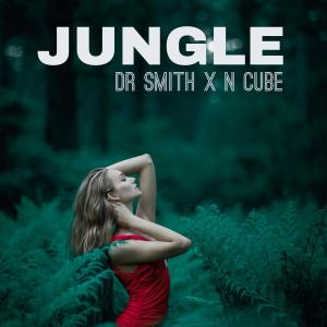 Album Jungle (Radio Edit) from Dr Smith