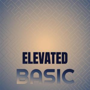 Album Elevated Basic oleh Various