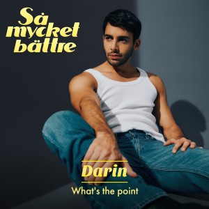 收聽Darin的What's the Point歌詞歌曲