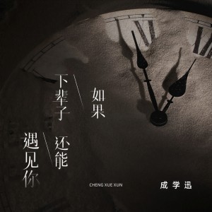 Listen to 如果下辈子还能遇见你 (DJ九零版) song with lyrics from 成学迅