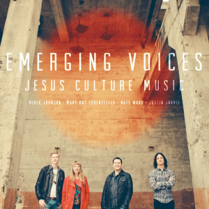 Various Artists的專輯Emerging Voices
