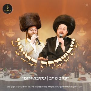 Listen to שהשמחה במעונו song with lyrics from יעקב טויב
