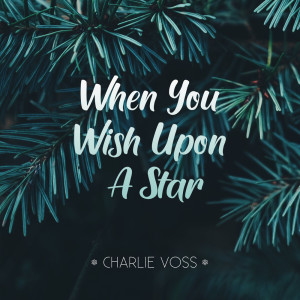 ดาวน์โหลดและฟังเพลง When You Wish Upon A Star พร้อมเนื้อเพลงจาก Charlie Voss