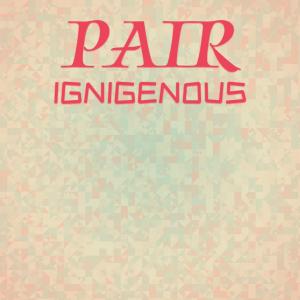 Various Artists的專輯Pair Ignigenous