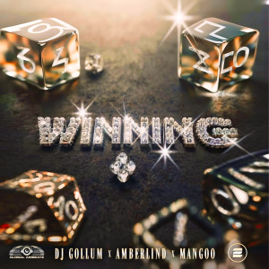 DJ Gollum的專輯Winning