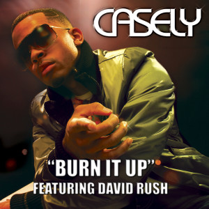 Listen to Burn It up Feat. David Rush song with lyrics from Casely